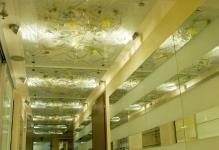 1215391087ceiling-from-glass-543