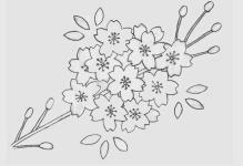 11 PATTERN-Flower-sega-sega-un-spilvendrāna-Ķiršu zieds
