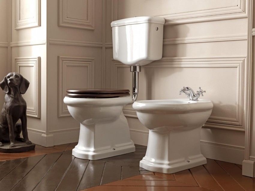 Hoe naar het toilet te kiezen: de criteria en de kenmerken van de verschillende modellen
