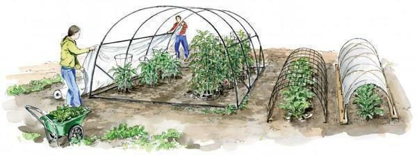 Vegetary - växthus på skandinavisk teknik: 5 funktioner