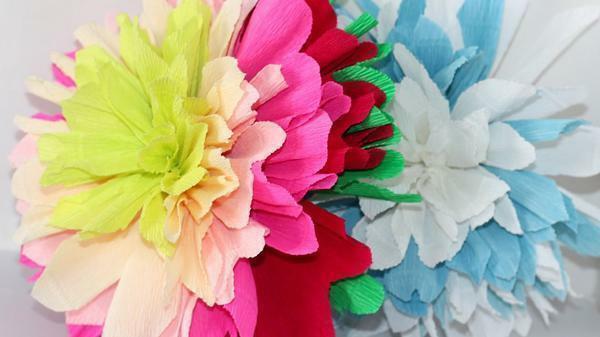 Dahlia cvet je mogoče storiti s tremi različnimi barvami serviete