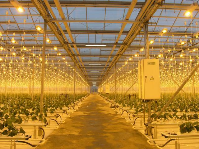 Utrustning för växthus: fogger och ackumulatorer för värme, termostat industriell utrustning