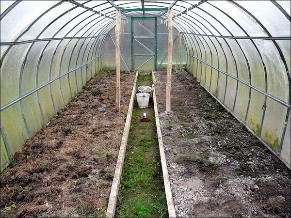 O solo no inverno é necessário cavar e fertilizar humus