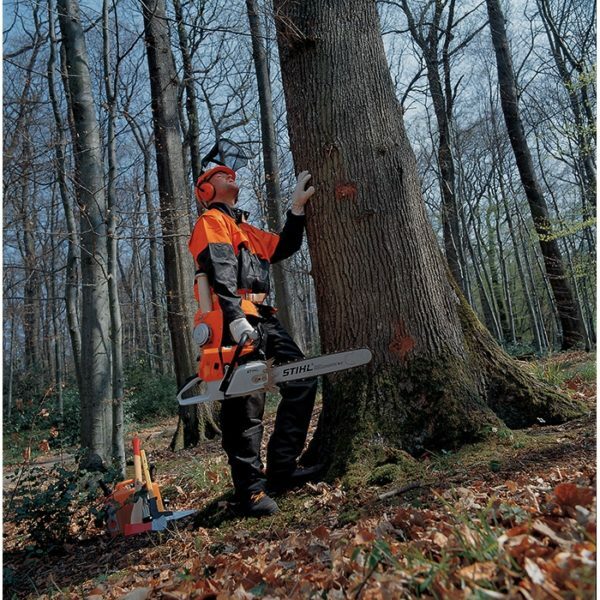 Chainsaw Stihl 660 kan svinge i de fjerneste hjørner af skoven