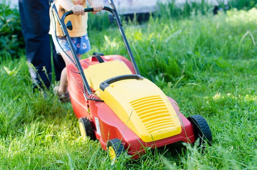 Ease of use and ease of design are the main advantages of lawn mowers, operating on electricity