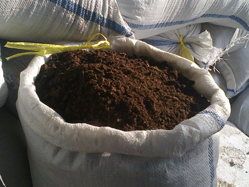 Planter les pommes de terre, au moment opportun, ainsi qu’une description des méthodes de semis