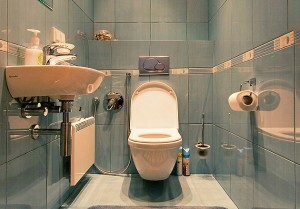 Reparasjon toalett i panelet huset: budsjett eller kosmetisk, sekvensen