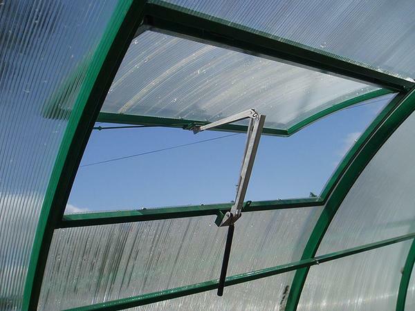 Így a növények az üvegházban, kényelmes volt, meg kell, hogy megfelelően szellőztetni