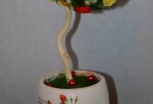 3fa410k5f05aa3ts3vf46819303vv - Bloemen, bloemisterij, topiary-of-roses
