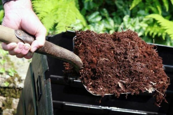 Kompost - eden najboljših gnojil, pri kateri so vsi sestavni deli naravna