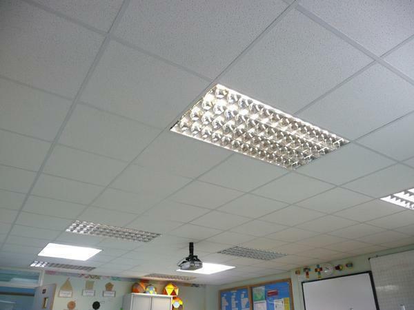 Ceilings of this type can be used in any heated premises with air humidity up to 70%