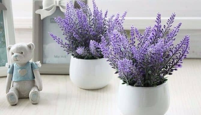 Place lavender in your bedroom for better, healthier sleep
