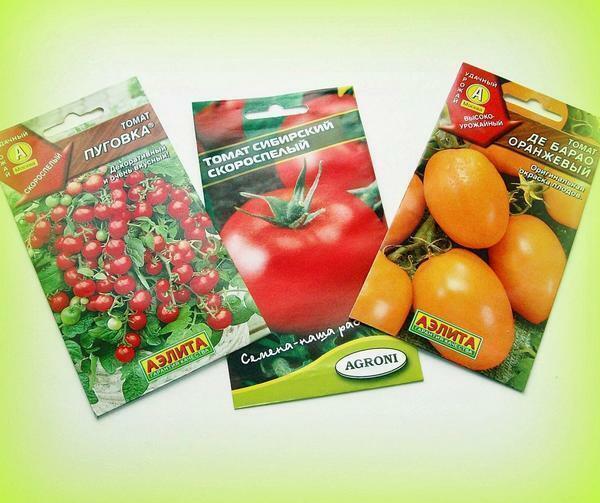 Para crescer em uma estufa variedades de tomate são adequados Siberian precoce