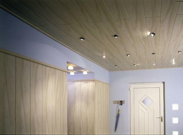 Het plafond is gemaakt van MDF-platen: de fotofinish, hoe ze hun eigen handen te maken, hoe op te lossen, de installatie