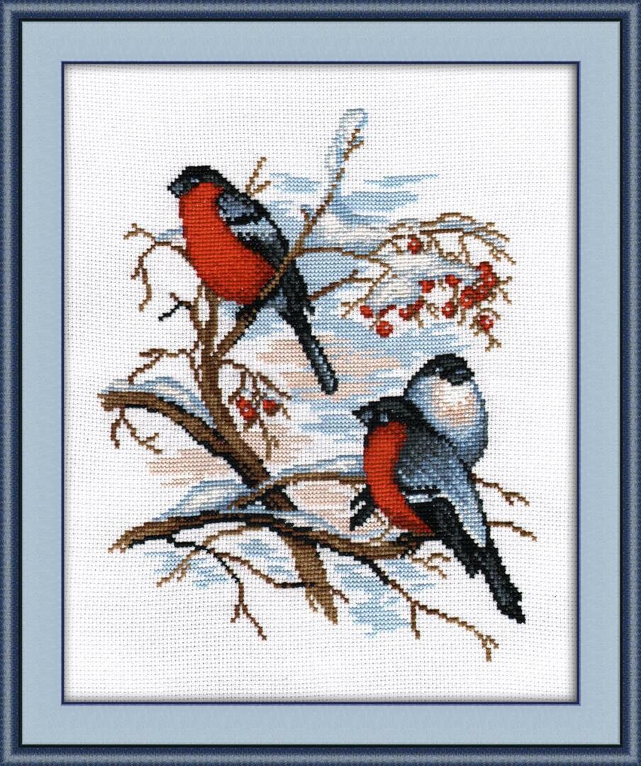 Cross-stitch embroidery of birds: bird schemes, bird fever free, black and white how to embroider, monochrome