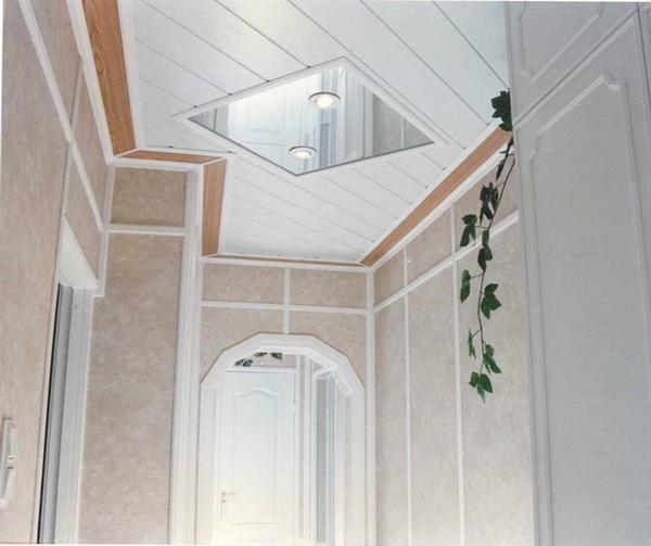 Plastic panels provide a reliable coating of the ceiling and easy care for it