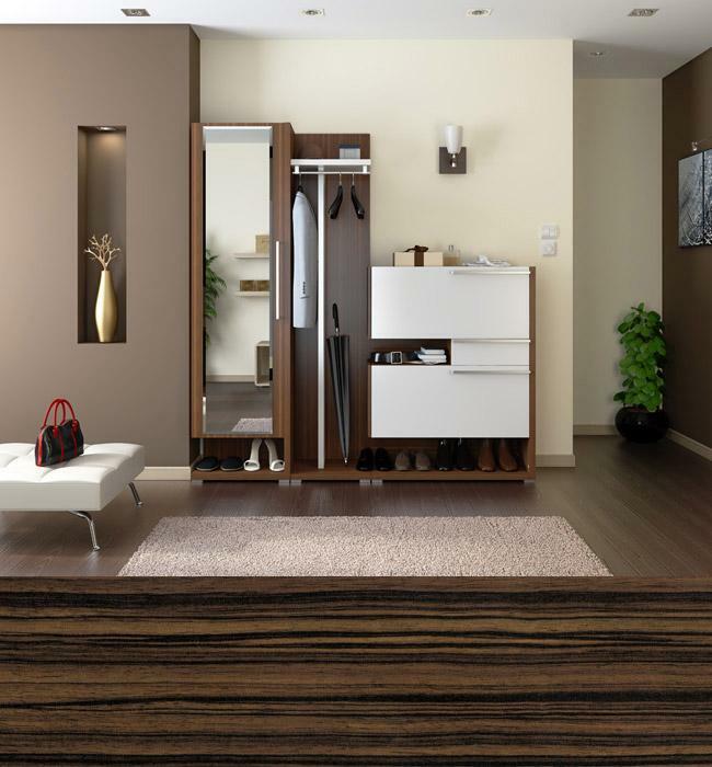 Prieškambario baldai modernaus stiliaus: Nuotrauka mažų, mažų ir siauras, kampuotas ir modulinės salėje