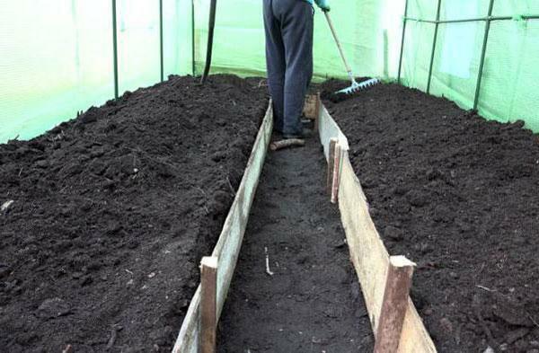 Na sklizeň dokázal potěšit zahradníky, je nutné změnit způsob, jakým