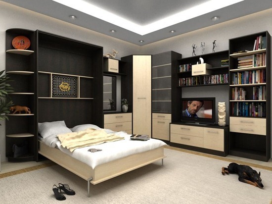 Navrhovat malé byty: vnitřní dekorace v moderním stylu