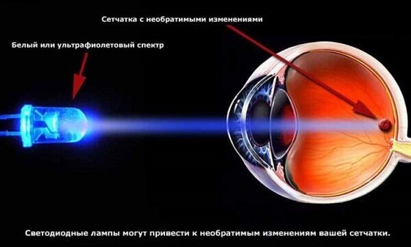 Effekt på synsorganene