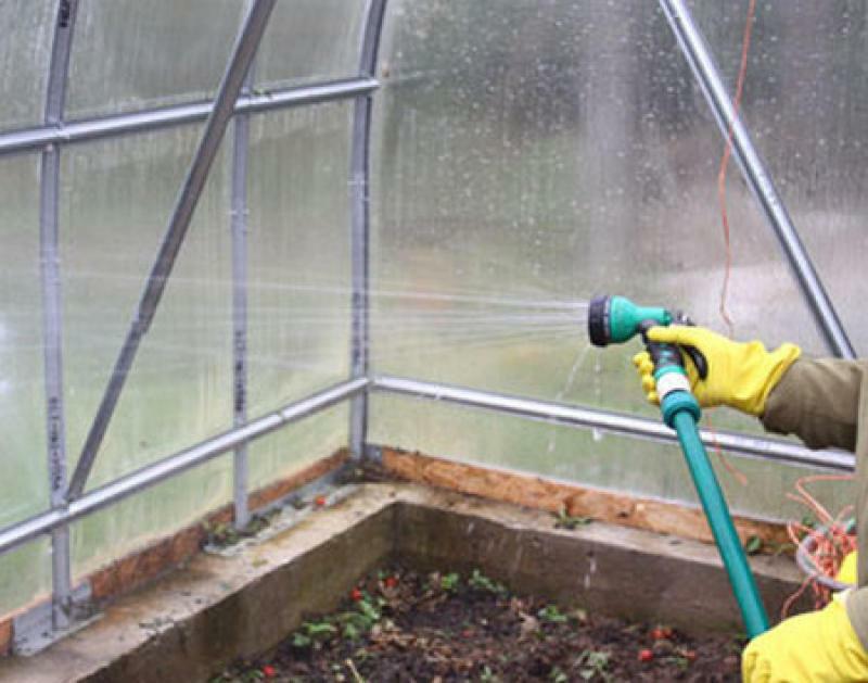 växthus höst behandling: vad och hur man ska hantera polykarbonat från skadedjur och sjukdomar, markberedning för vintern