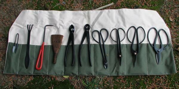 A bonsai growing kit can also include a working tool for tillage and plant care