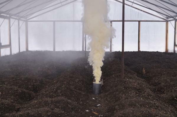 Bomba de fumo - uma ótima maneira para descontaminar o solo em uma estufa