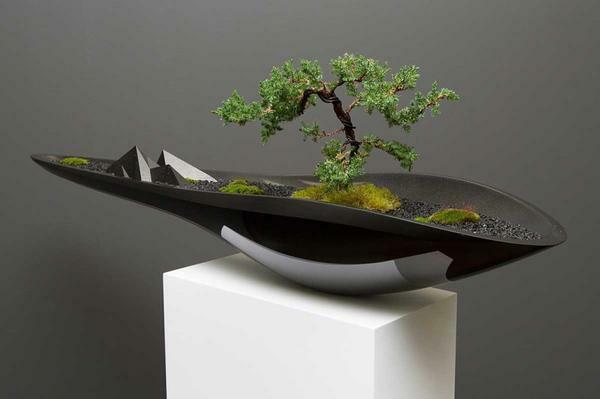Pot bonsai algsel kujul rõhutavad keerukuse ja individuaalsust puud