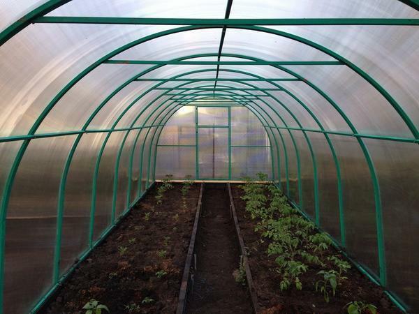 Greenhouse policarbonato reforçado: quadros de Verão, os fabricantes de duráveis, como fortalecer o inverno pesados