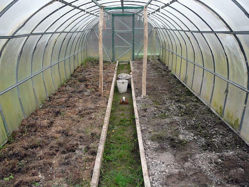 Jord forberedelse før plantning i et drivhus: processen jorden i et drivhus, der erstatter fitosporin i jorden, kaliumpermanganat