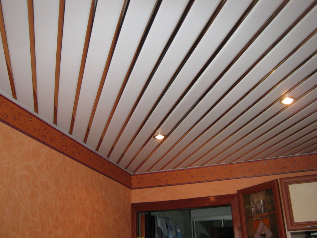 Oblikovanje strop v kuhinji: oblikovalec stropne odsek obloge v notranjosti
