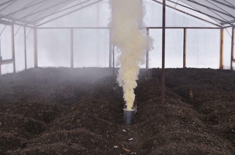 Rök bomb för växthus: Hur man hanterar tobaken är behandlingen av polykarbonat som används för desinfektion