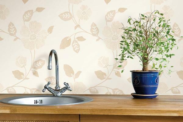 Washable wallpaper: how and what to wash vinyl, can it be liquid, how can I remove grease stain from paper, non-woven