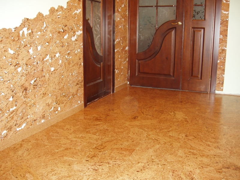 Hoe cork wallpaper correct lijm: en twee soorten duplex, schuim, kleefmiddel, meter, als spaanplaat wandmontage