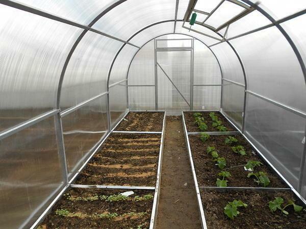Ako vykonať lôžok v skleníku polykarbonátu: Foto a správne postele zariadení, skleníkový usporiadanie