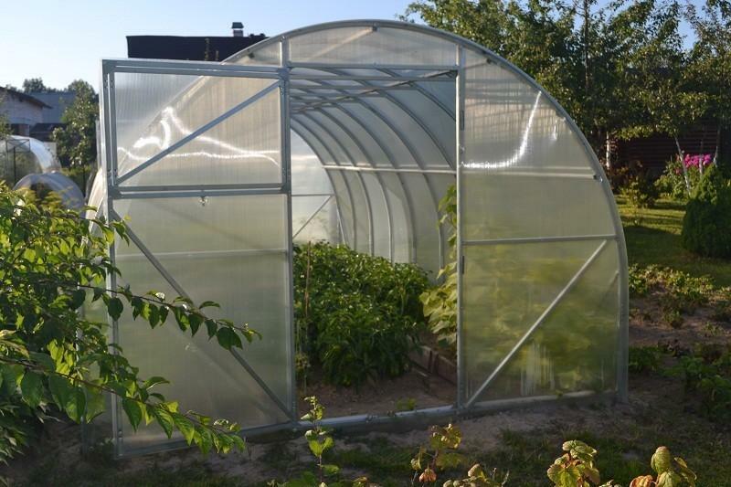 Greenhouse Agrosfera: Titanium and video, polycarbonate assembly, reviews and instructions, Standard and Bogatyr plus