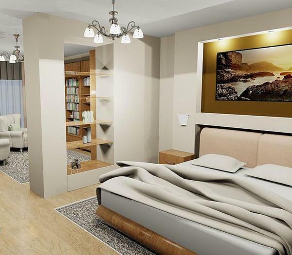 Zoning of the bedroom-living room 16 sq. M.M: hall design, interior photo, room one