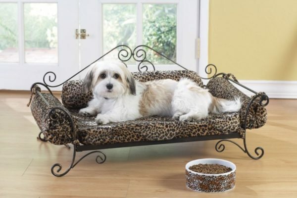 The owners sometimes bought wrought-iron beds, even for their pets as well as a fully confident in their ability to successfully resist any claws and teeth
