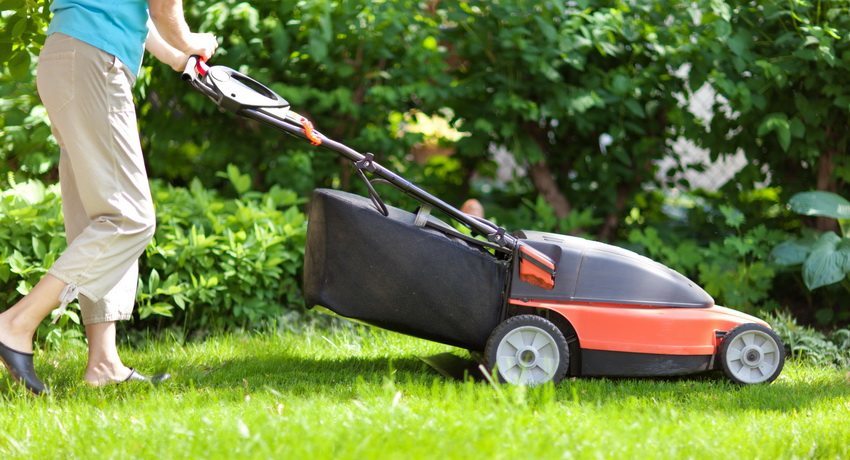 Ranking of the best models of electric lawnmowers