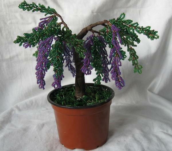 Siap mini-bonsai dapat ditempatkan dalam pot bunga biasa, pre-beratnya itu kerikil halus