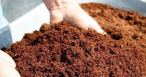 Successfully selected soil for greenhouses - the guarantee of a future good harvest