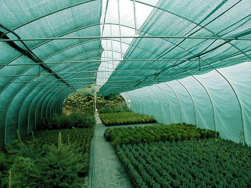 Skygget mesh Greenhouse: telte og tæpper til drivhuse, espalier og foto beskyttende netting, myggenet