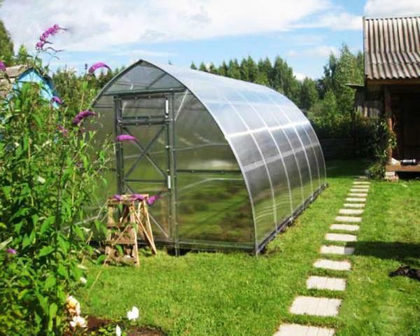 The "Dachnaya Strelka" greenhouse has undoubted advantages