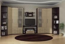 85301-in-town-wardrobes-coupe-with-mirror