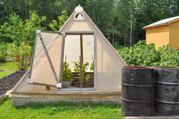 The pyramidal design of the greenhouse is not very convenient to use
