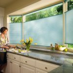 Blinds di dapur: elemen gaya dekorasi di pedalaman