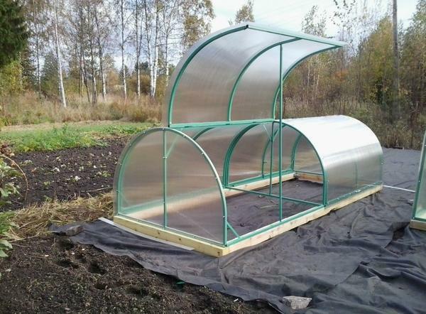 Among the advantages of a polycarbonate greenhouse is worth noting the long life and practicality