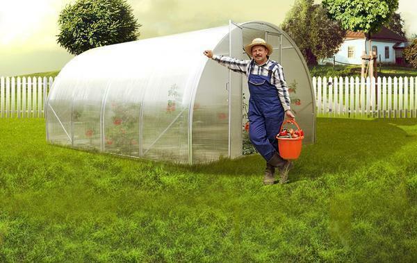To keep the greenhouse in service for many years, it is necessary to take care of it properly