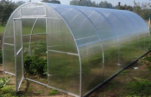 Before buying a particular greenhouse is worth reading about her reviews on the Internet