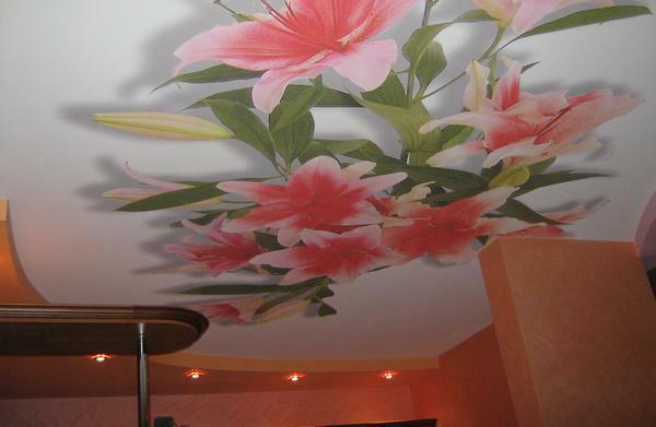 Photo printing, made on the ceiling, will fill the room with a unique color.